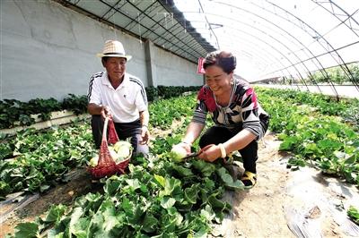 多伦县市场监督管理局最新发展规划